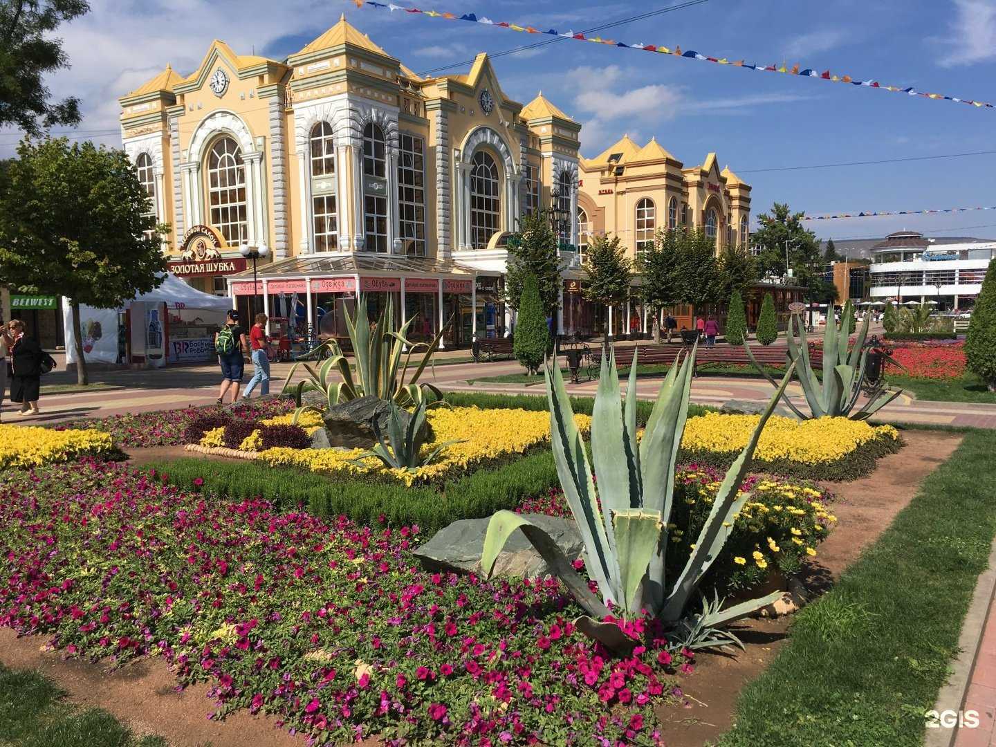 Отзывы на компанию Зама в Кисловодске c фото - фотография 2 из 2