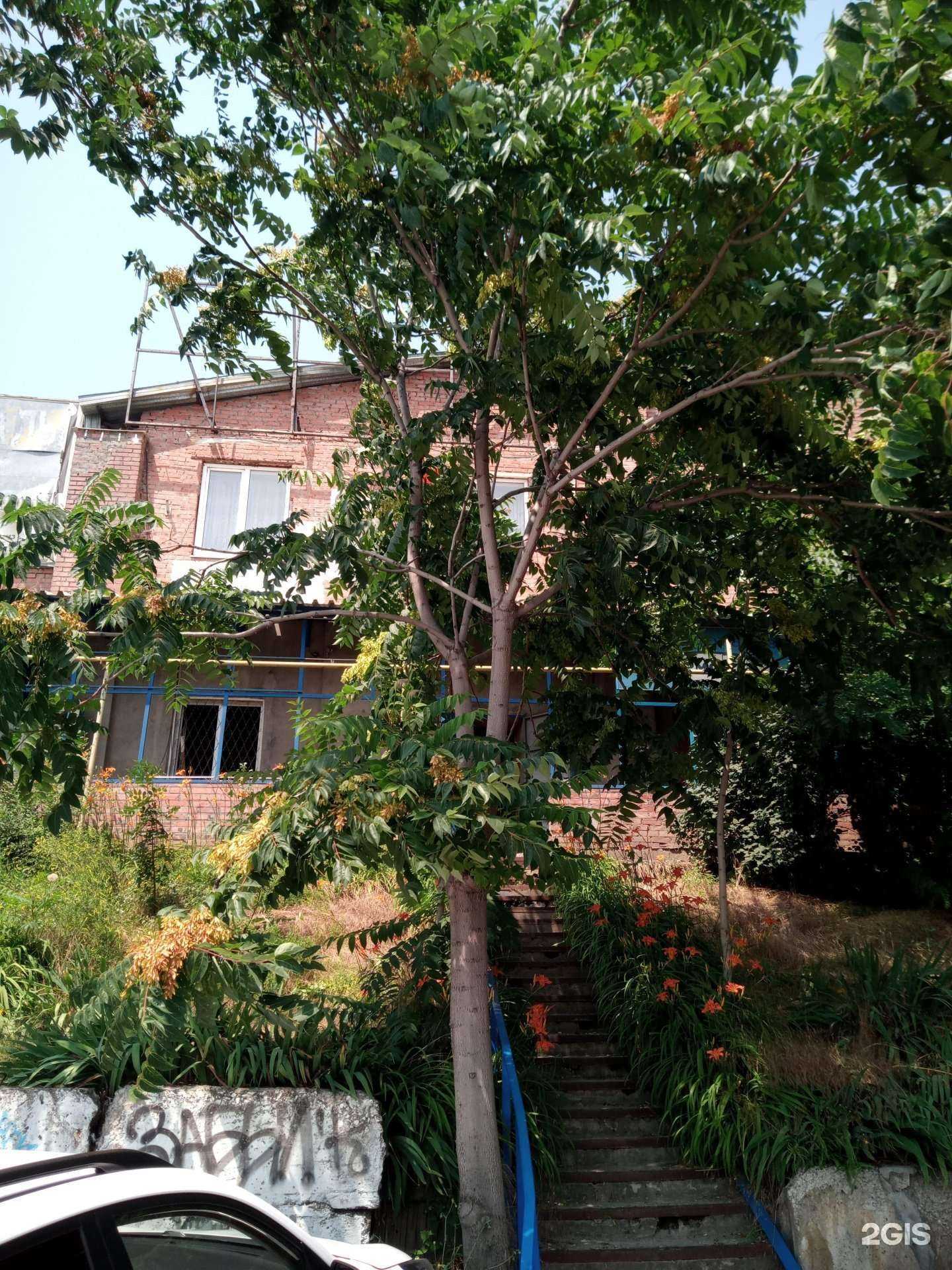 Отзывы на компанию Пилим все в Ростове-на-Дону c фото - фотография 2 из 2