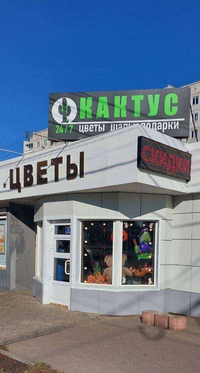 Отзывы на компанию Кактус в Красноярске c фото - фотография 2 из 2