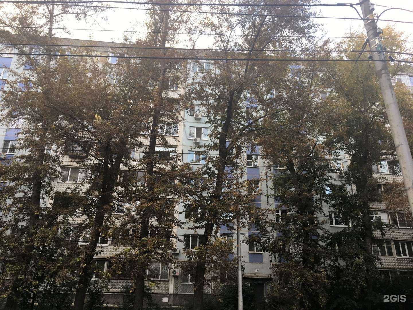 Отзывы на компанию #Любимыйгрумер в Самаре c фото - фотография 2 из 2