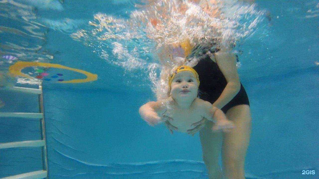 Отзывы на компанию Ква-Ква в Вологде c фото