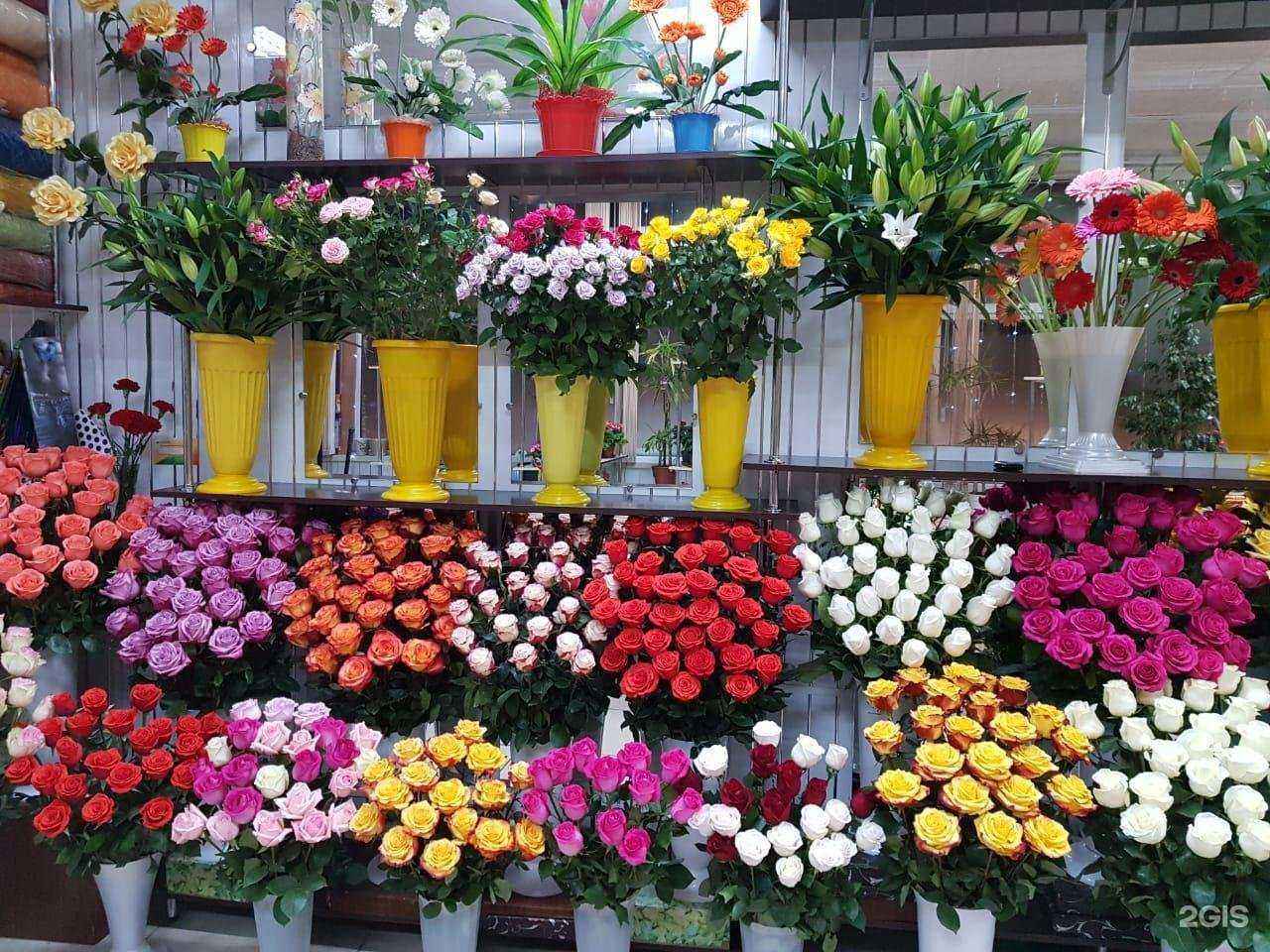 Отзывы на компанию Бульвар цветов в г. Петропавловск-Камчатский c фото