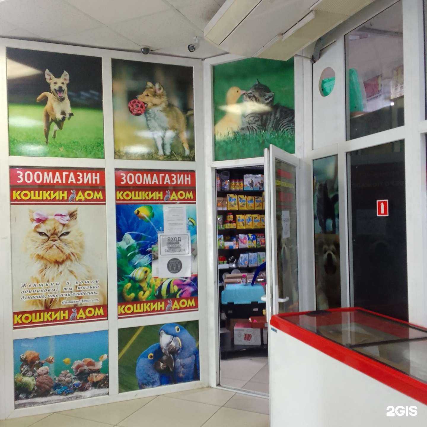 Отзывы на компанию Кошкин дом в г. Брянск c фото