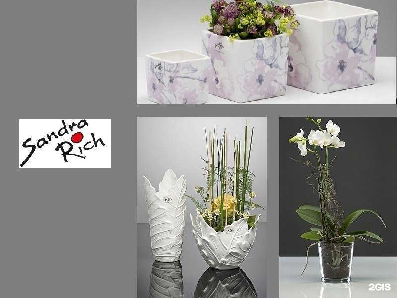 Отзывы на компанию Little London в Новосибирске c фото