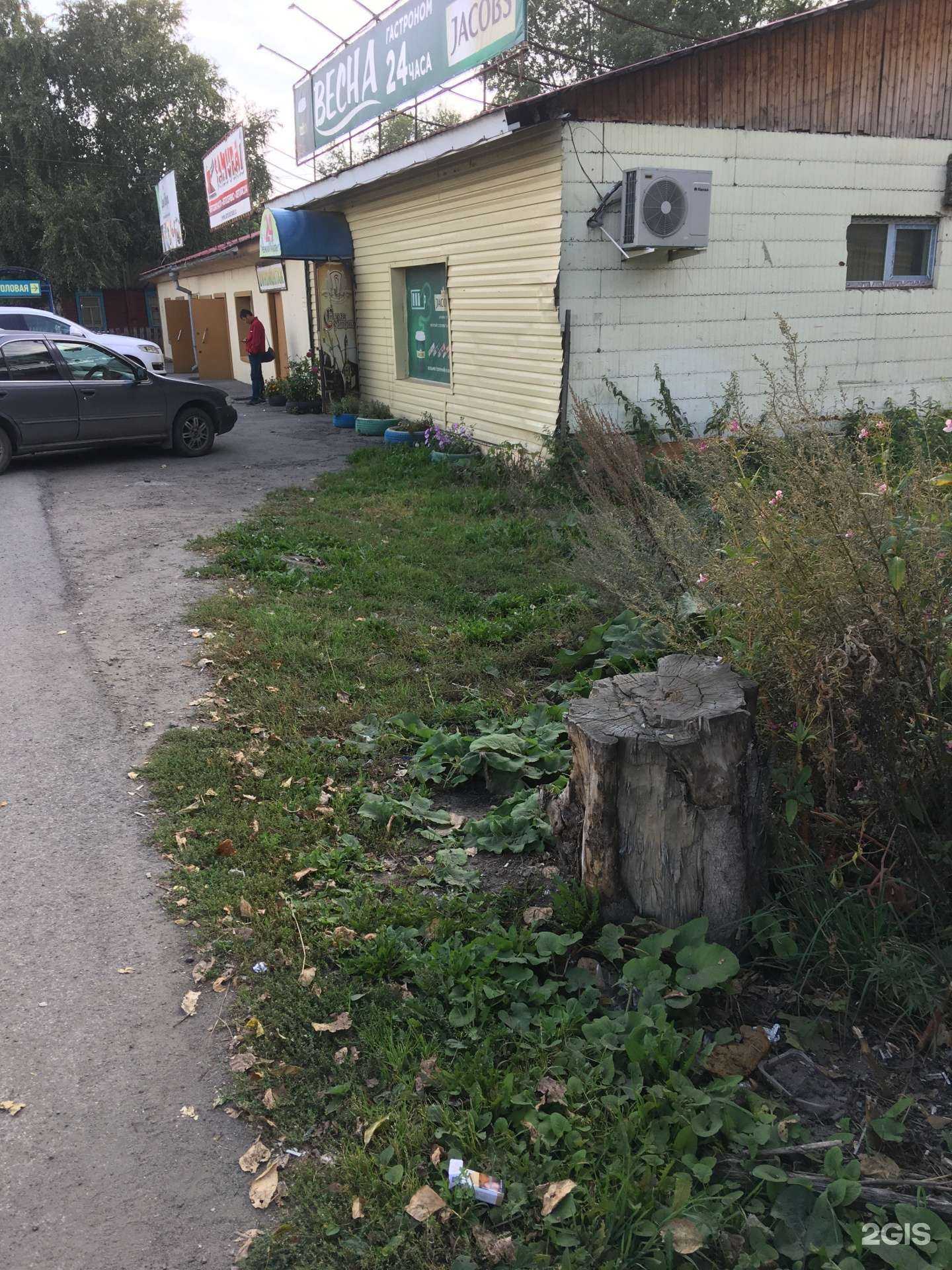 Отзывы на компанию Самурай в Томске c фото - фотография 2 из 2