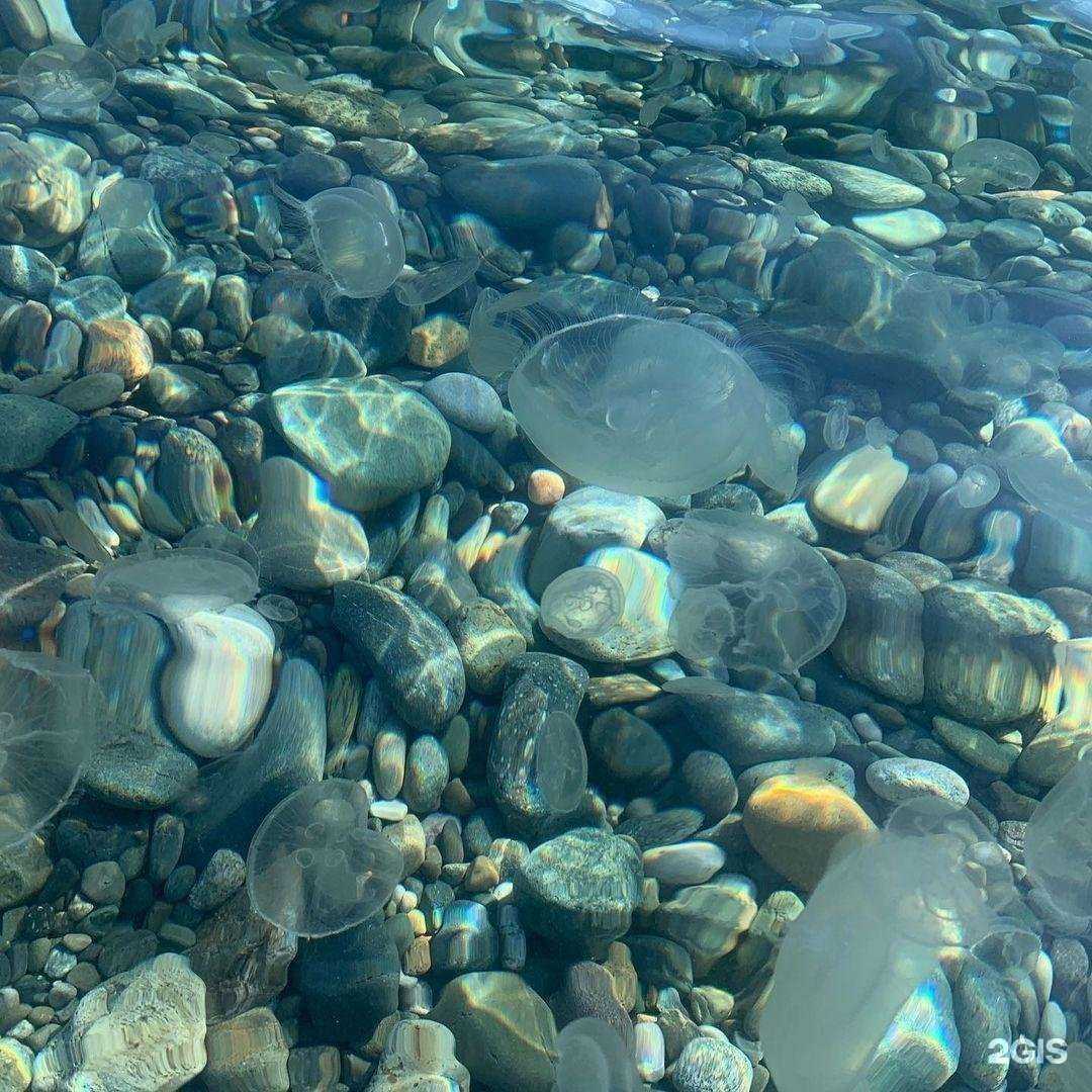 Отзывы на компанию Юлия в Волгограде c фото