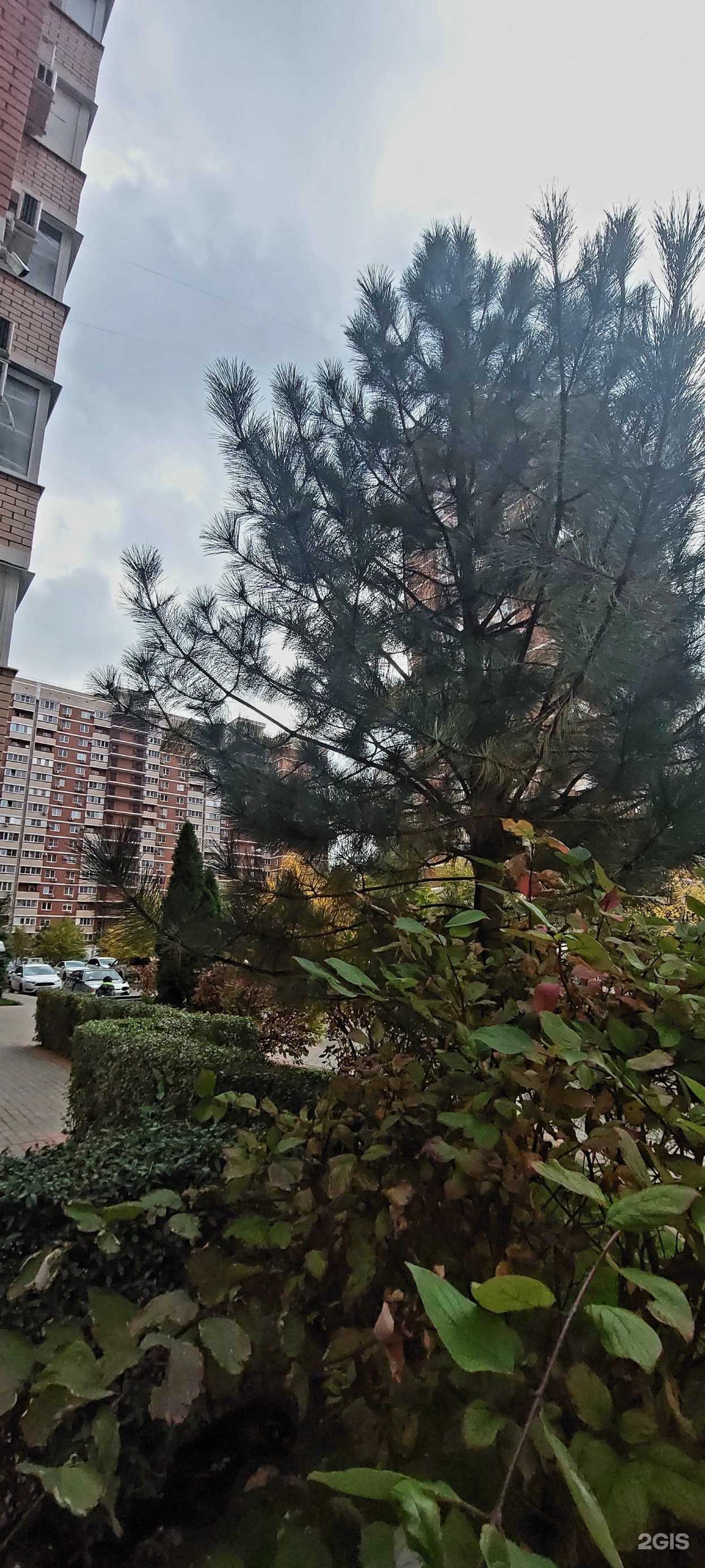 Отзывы на компанию Магазин по продаже футбольной обуви в Краснодаре c фото - фотография 2 из 2