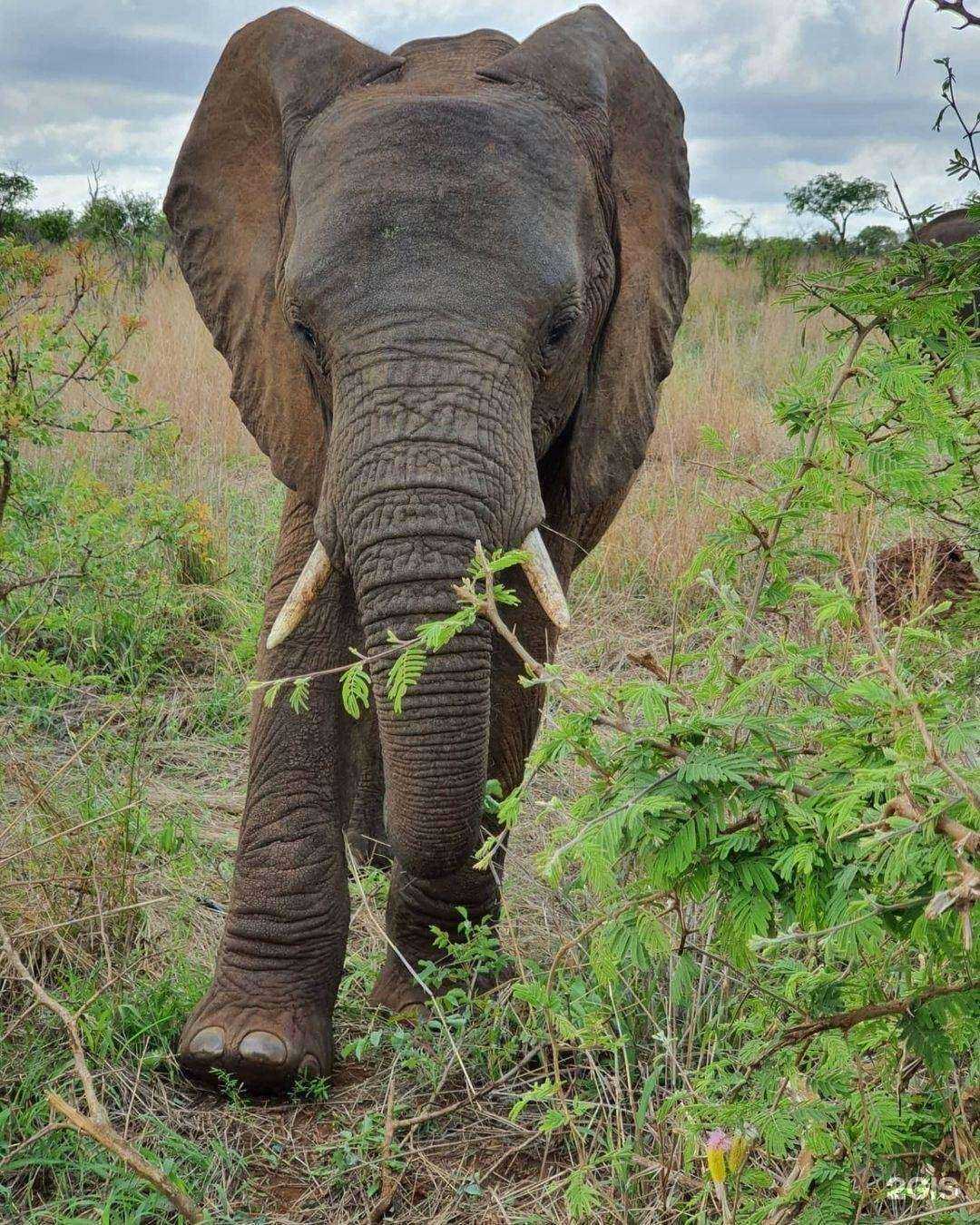 Отзывы на компанию Бильярд Казань в г. Казань c фото