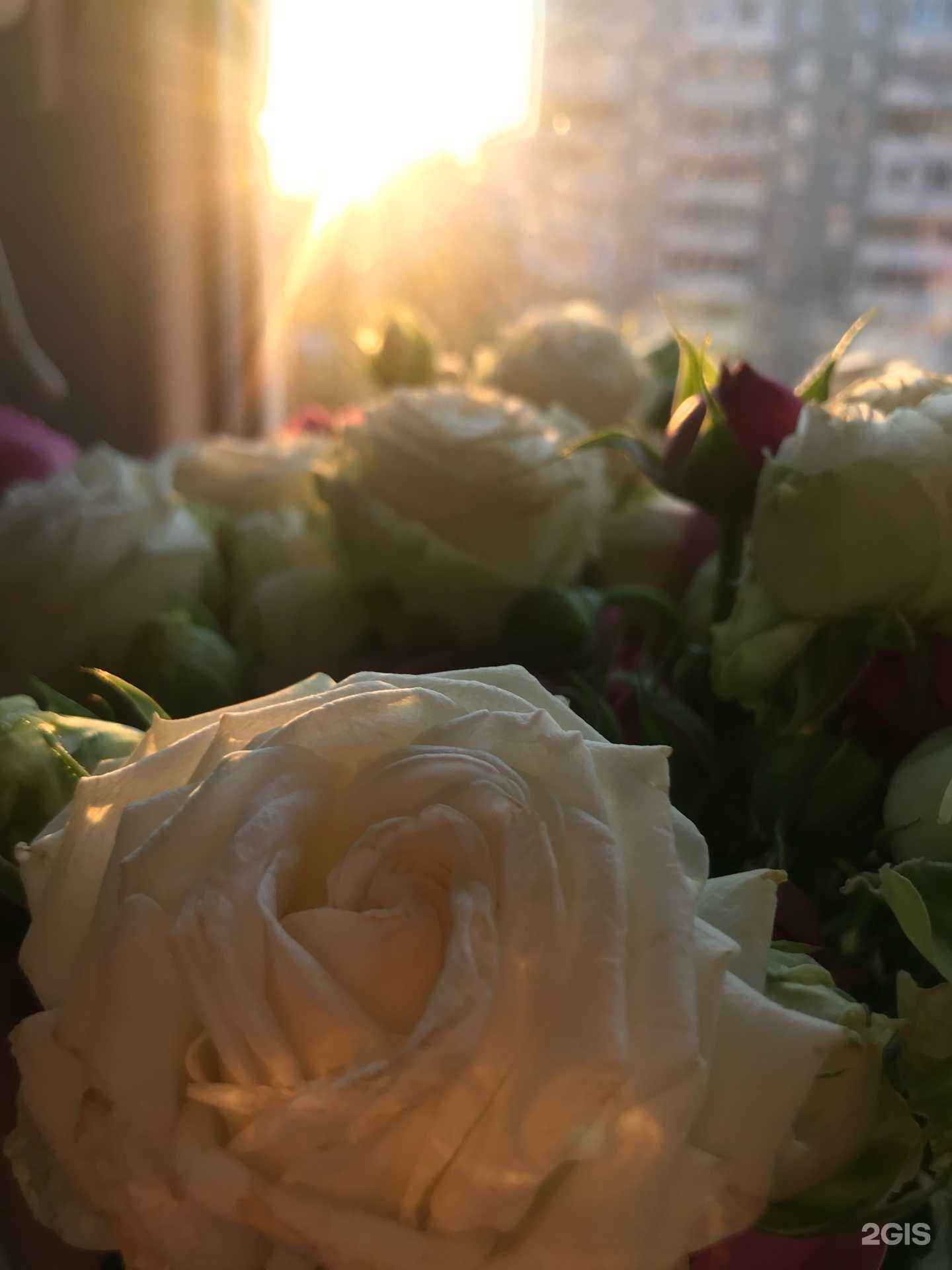 Отзывы на компанию Fresh Flowers в г. Нефтекамск c фото