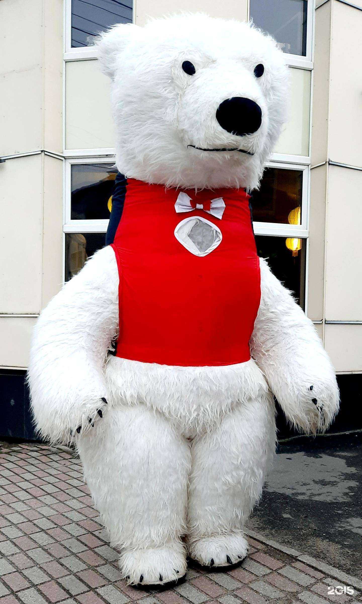 Отзывы на компанию Служба экспресс-поздравлений в г. Ярославль c фото