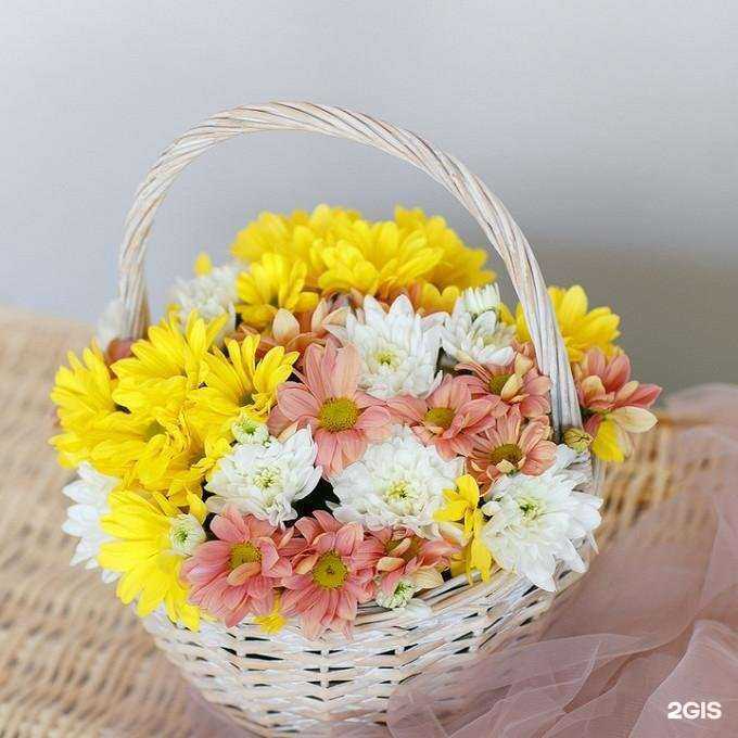 Отзывы на компанию Bukedo в г. Магнитогорск c фото