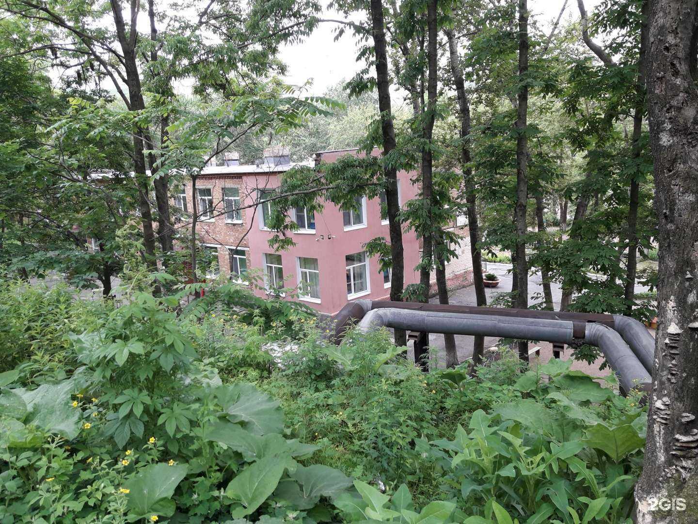 Отзывы на компанию Детский сад общеразвивающего вида № 109 г. Владивостока в Владивостоке c фото