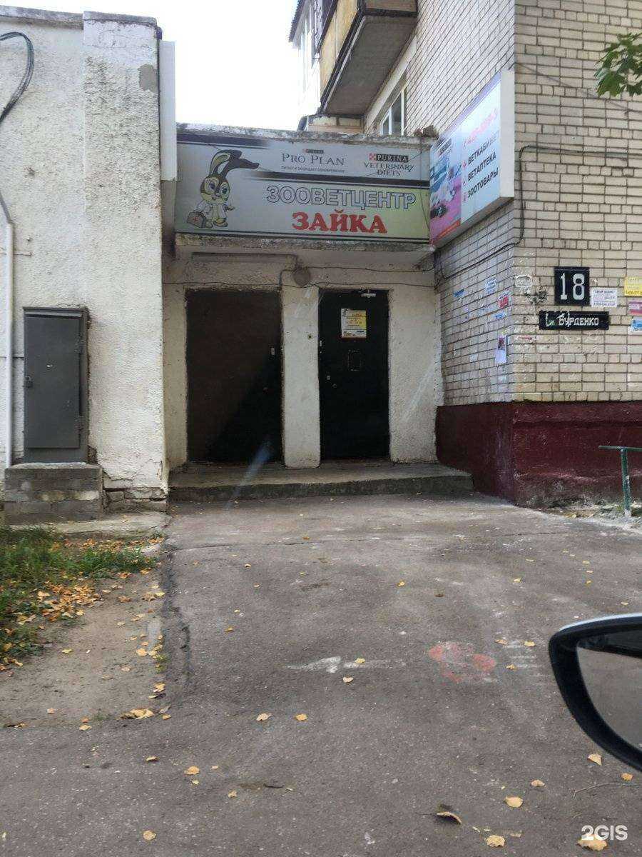 Отзывы на компанию Зайка в Нижнем Новгороде c фото