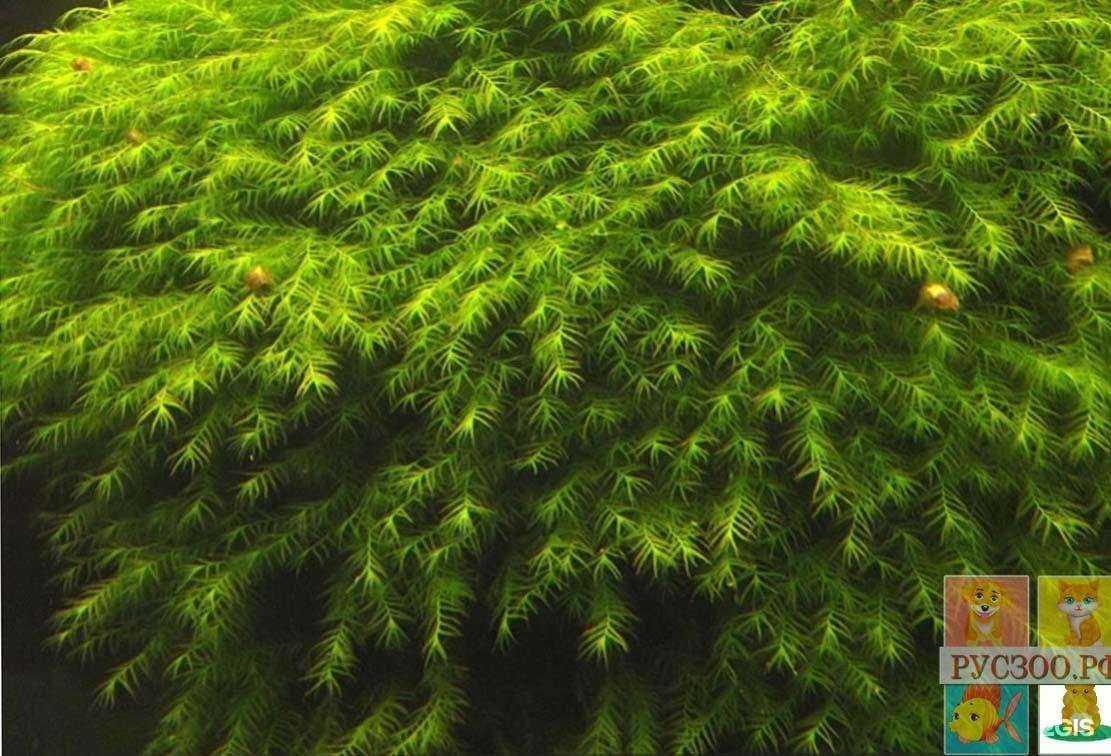 Отзывы на компанию Zoo сити в Краснодаре c фото