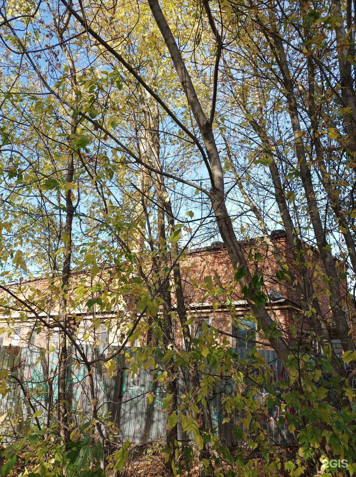 Отзывы на компанию Термопластиковые композитные технологии в Егорьевске c фото - фотография 2 из 2