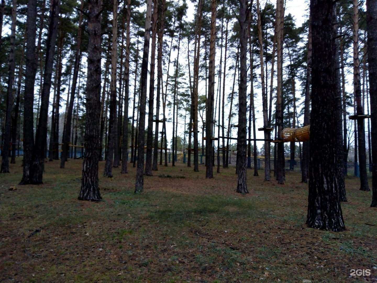 Отзывы на компанию Адреналин в г. Димитровград c фото