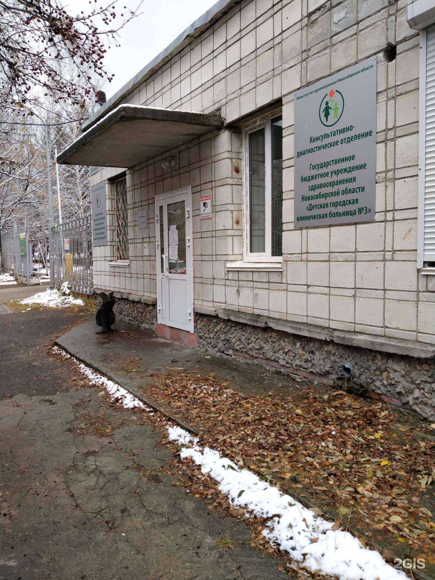 Отзывы на компанию Детская городская клиническая больница №3 в г. Новосибирск c фото