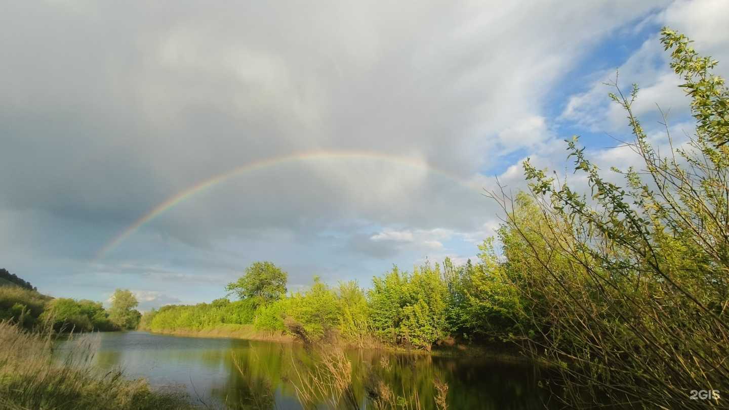 Отзывы на компанию Vasilev`s resort в Тольятти c фото