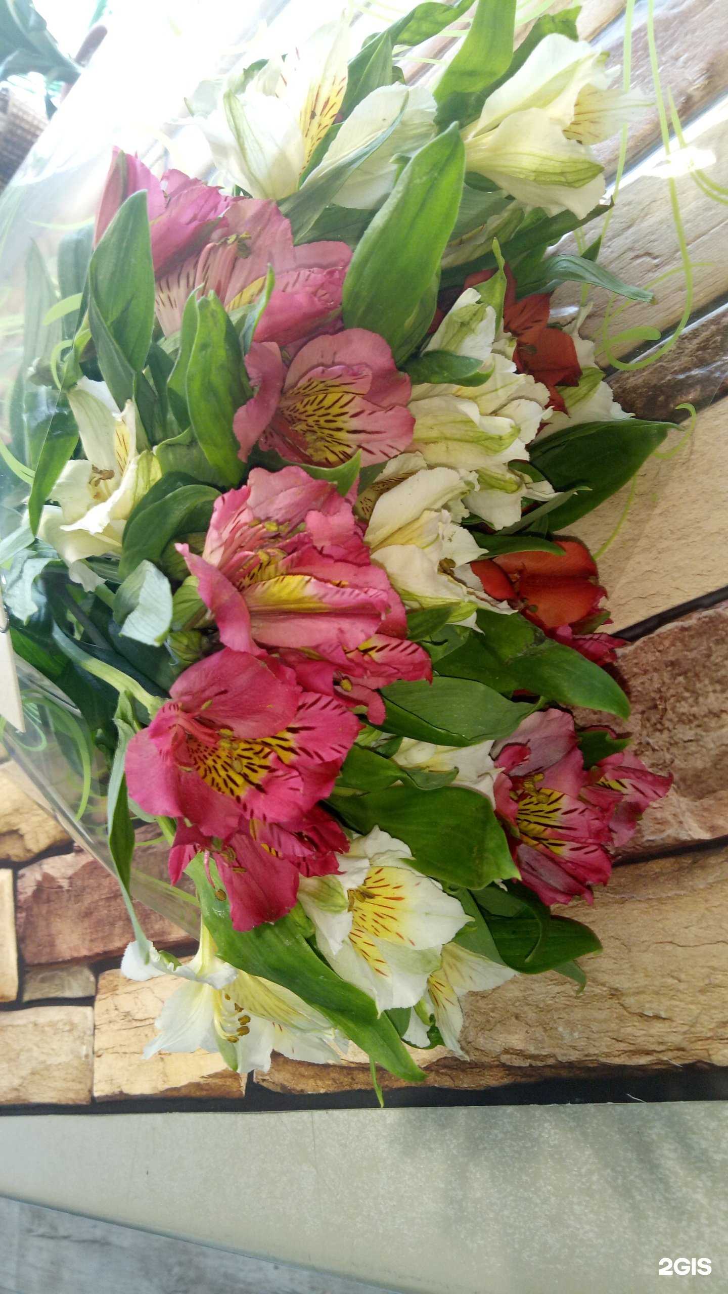 Отзывы на компанию Цветочная фея в г. Туймазы c фото