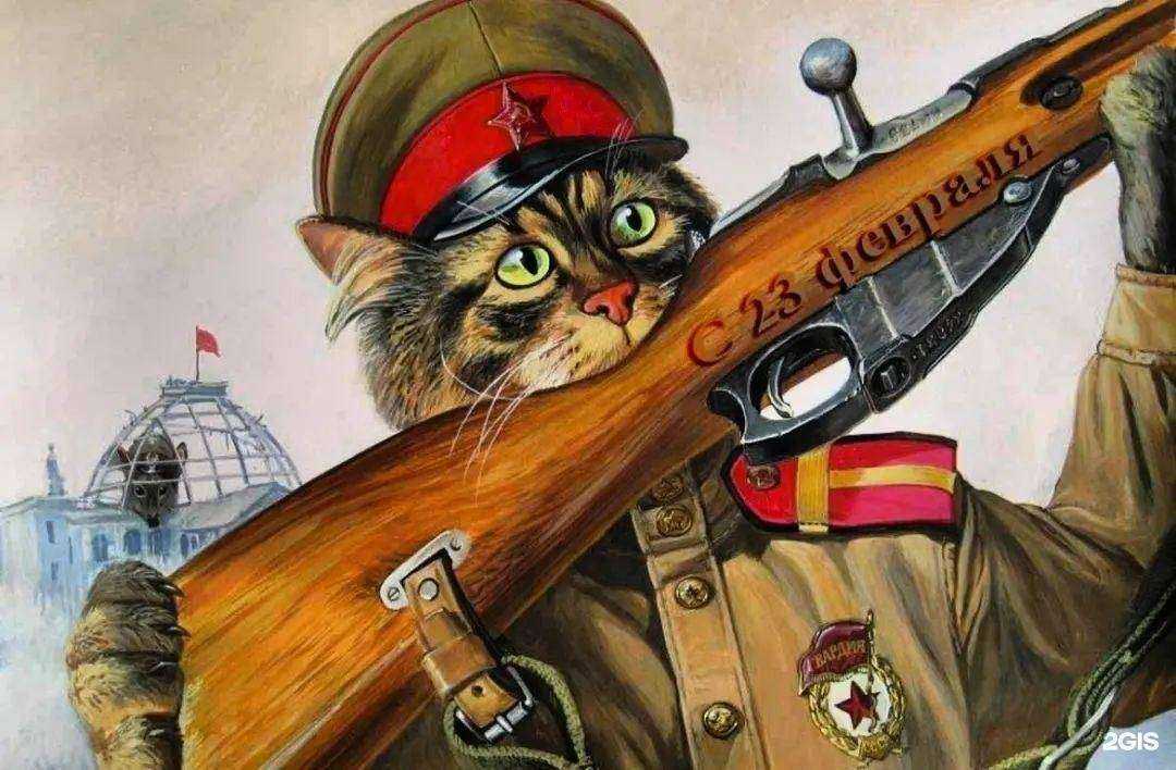 Отзывы на компанию Зверье мое в г. Кирово-Чепецк c фото