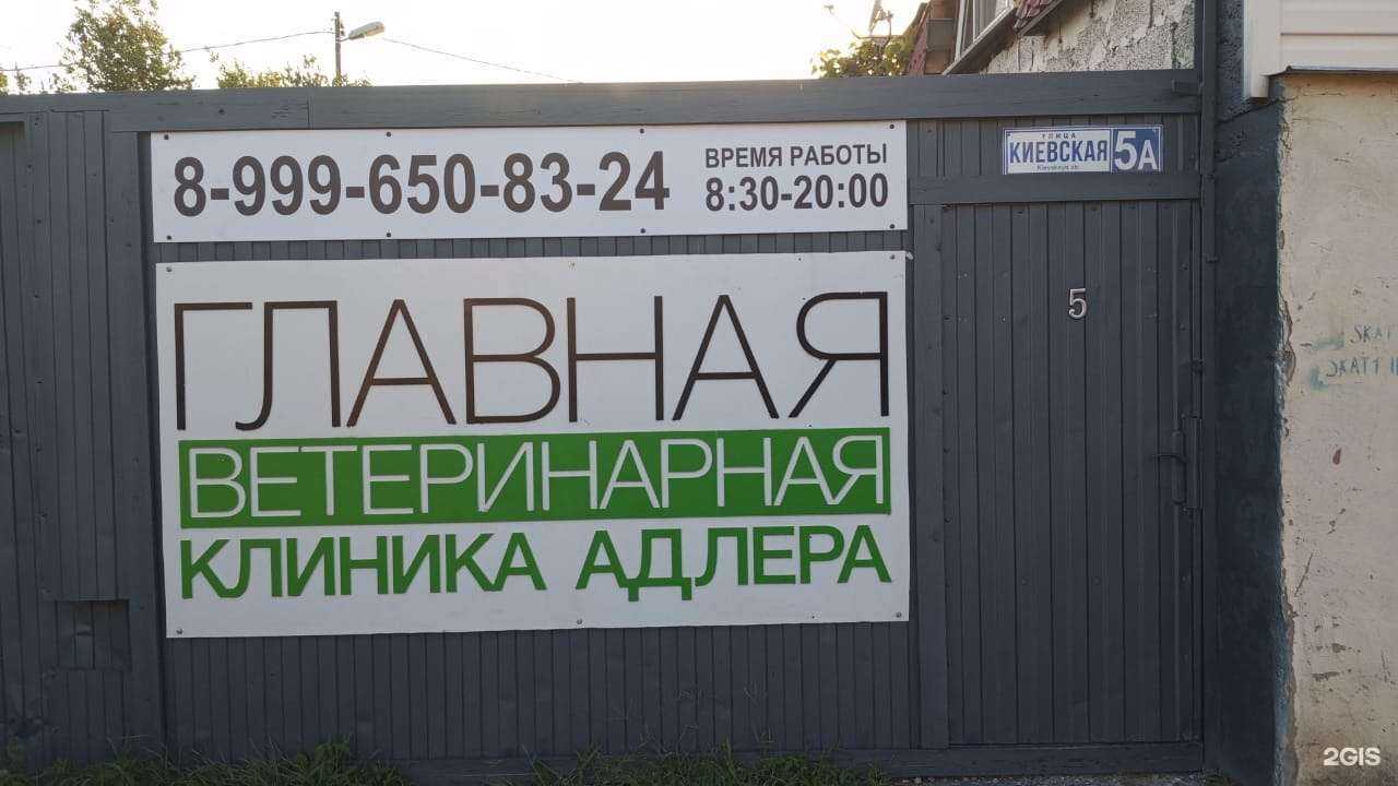 Отзывы на компанию Главная ветеринарная клиника Адлера в Сочи c фото