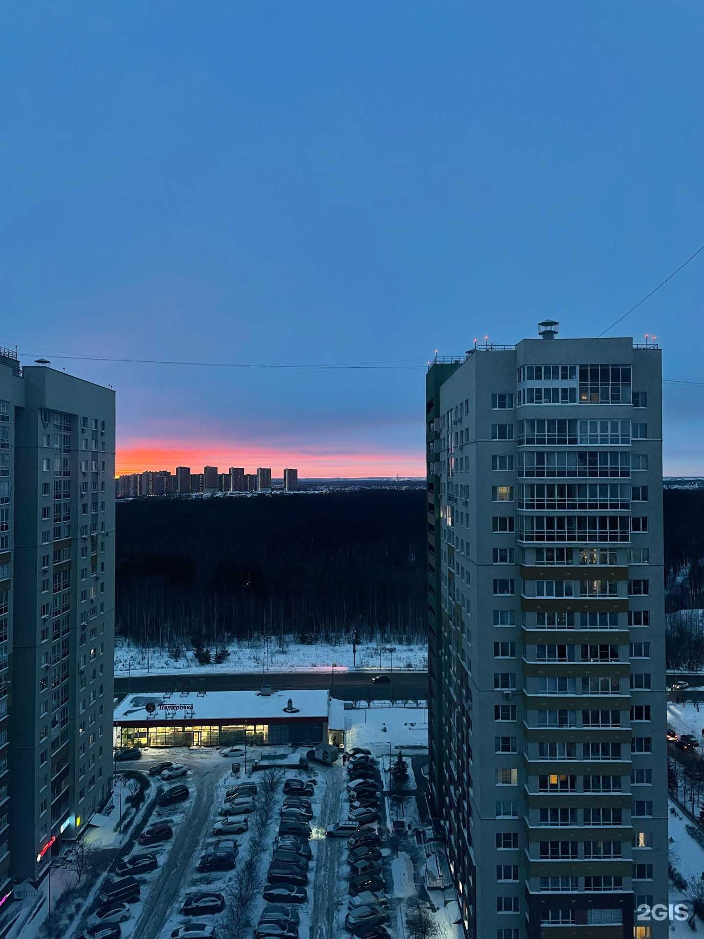 Отзывы на компанию Шоко и Понч в Нижнем Новгороде c фото - фотография 2 из 2