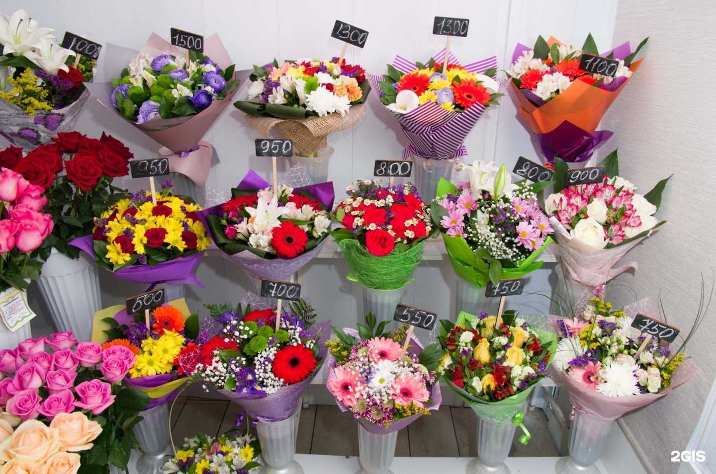 Отзывы на компанию Камелия в Волгограде c фото