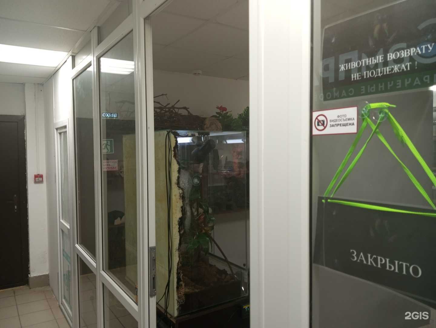 Отзывы на компанию Хелицера-Шоп в Туле c фото