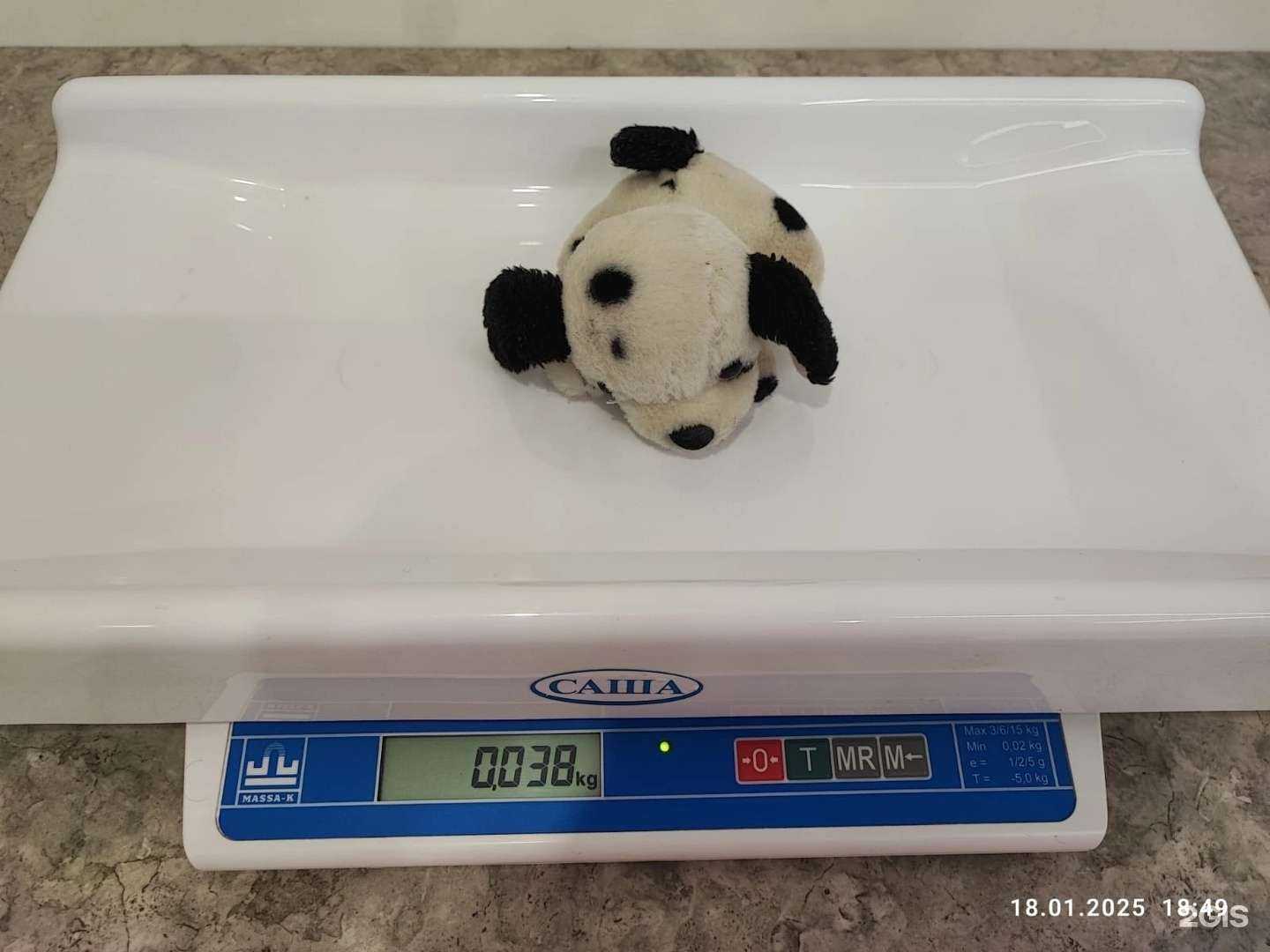 Отзывы на компанию Прокат в Екатеринбурге c фото