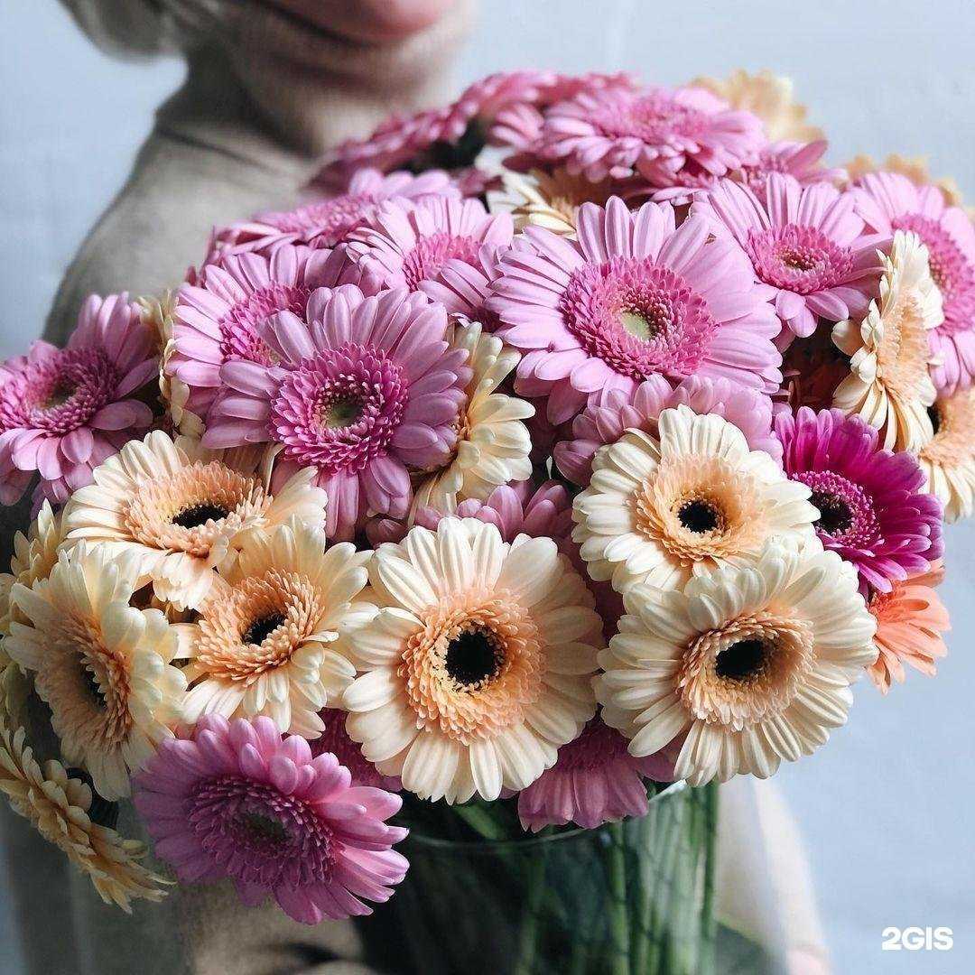 Отзывы на компанию Новые цветы в г. Королёв c фото