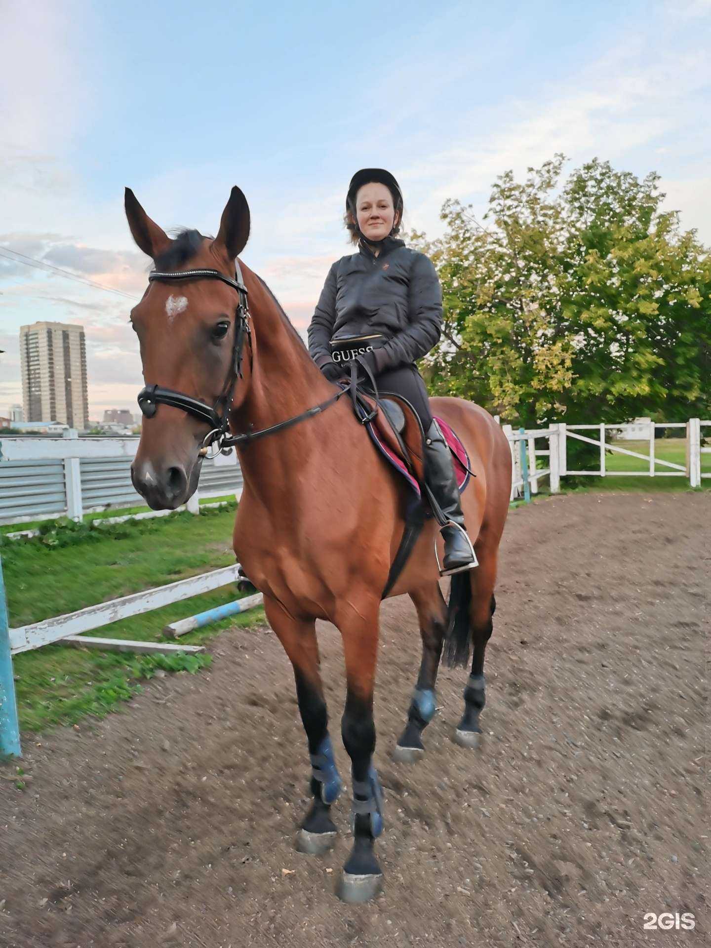 Отзывы на компанию Конно-спортивный клуб в Красноярске c фото