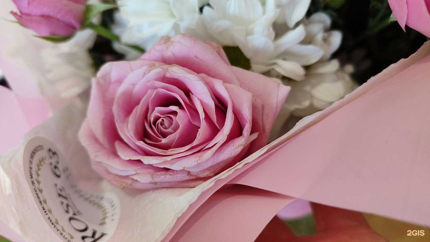 Отзывы на компанию Rose в г. Тольятти c фото