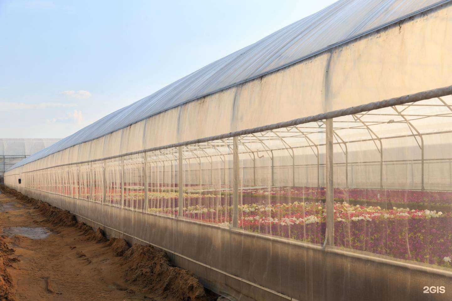 Отзывы на компанию Добрый Домъ в Новосибирске c фото