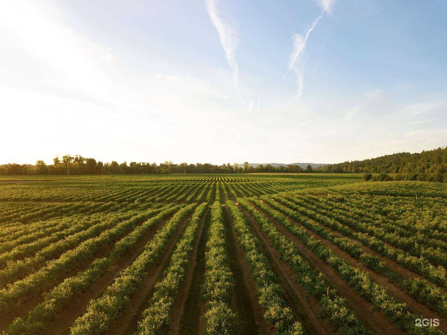 Отзывы на компанию Интек-радиосервис в г. Екатеринбург c фото