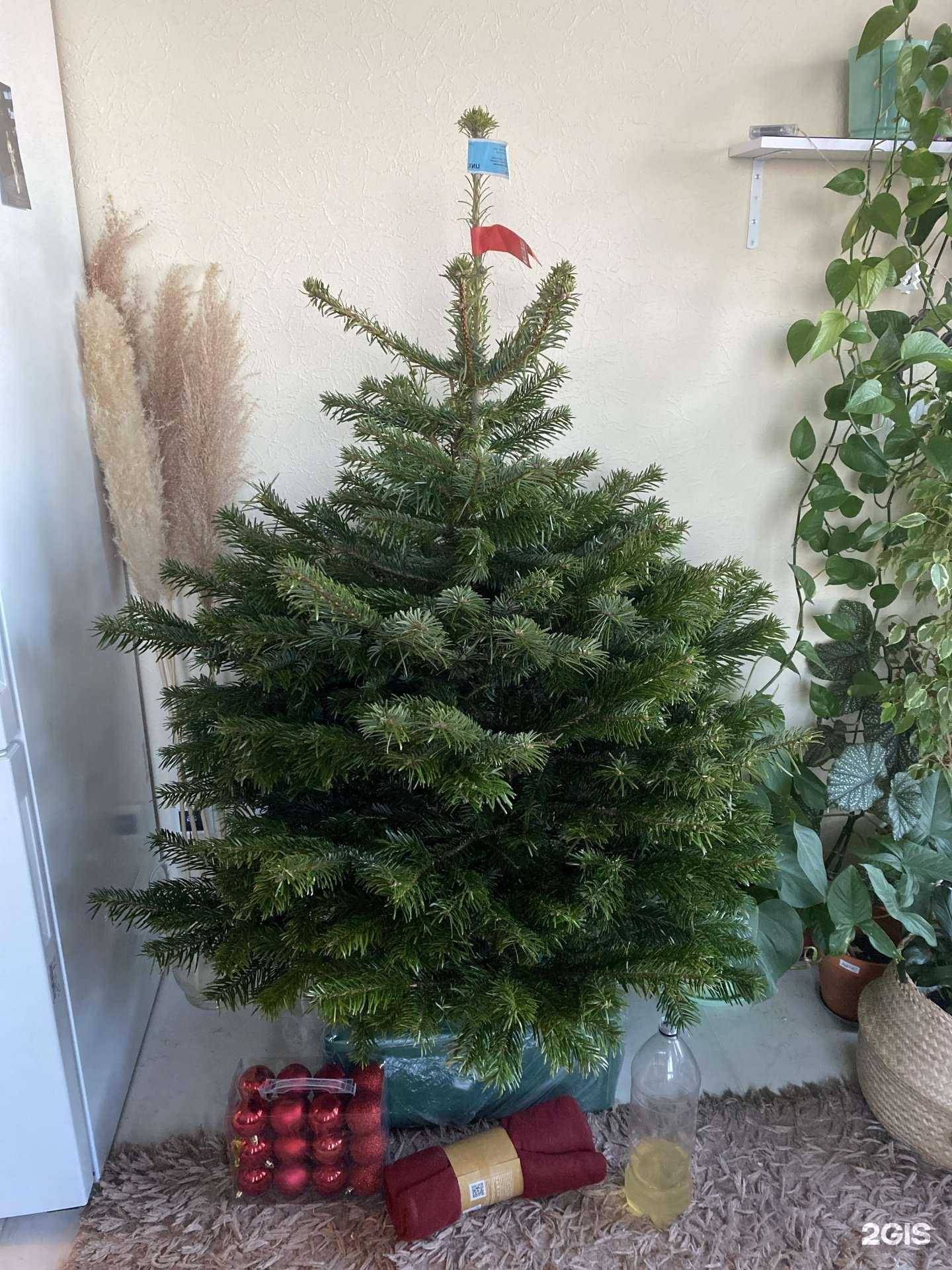 Отзывы на компанию OBI в Екатеринбурге c фото