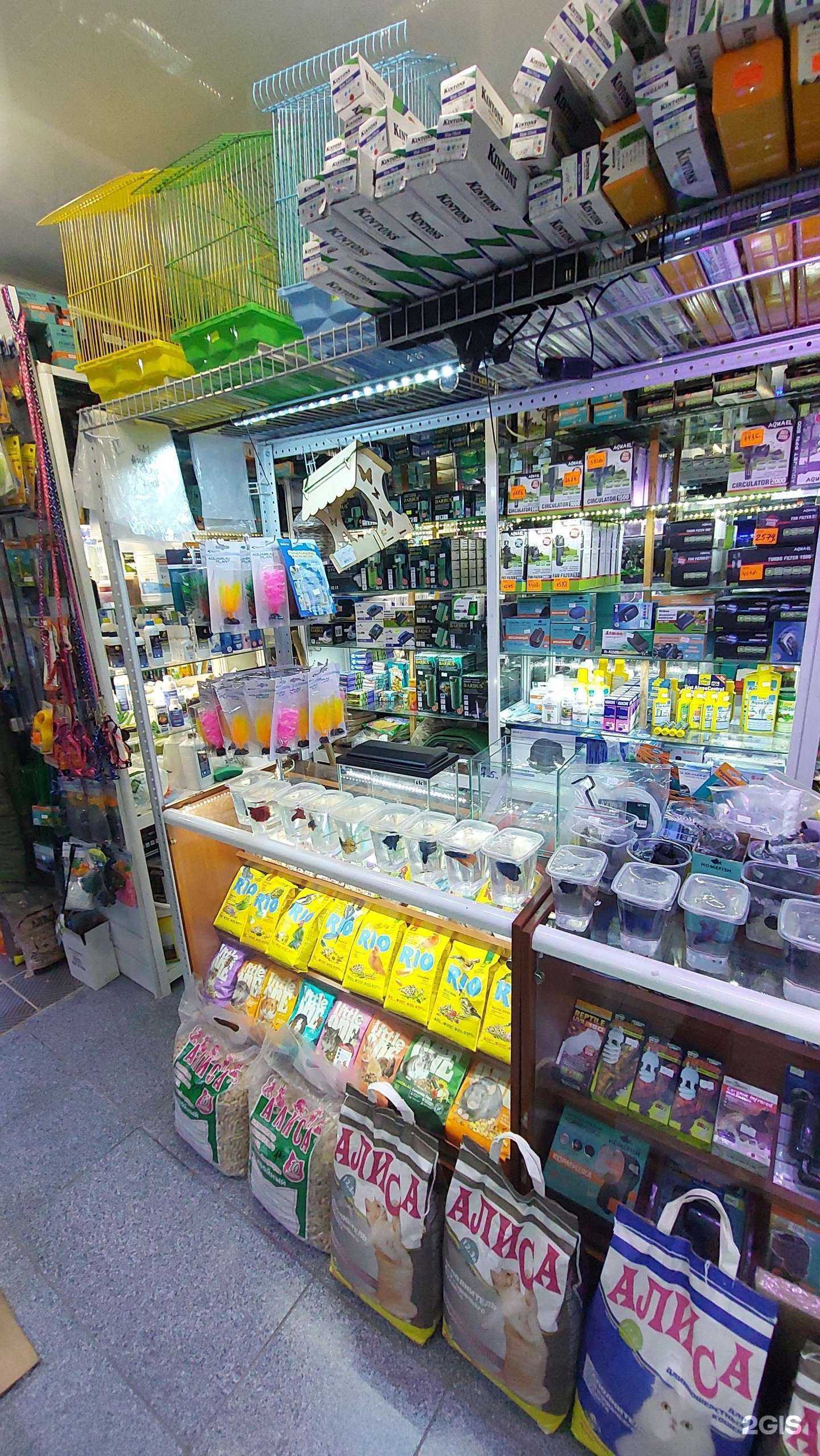 Отзывы на компанию Золотая рыбка в Магнитогорске c фото