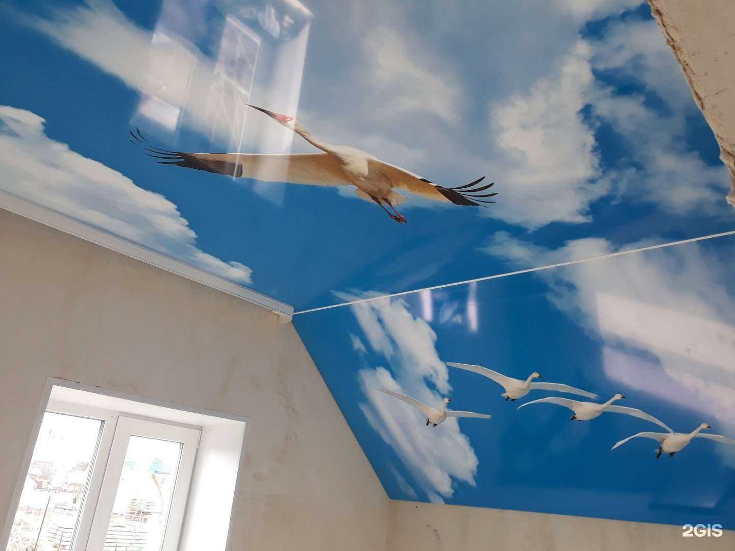 Отзывы на компанию Галактика в г. Тюмень c фото