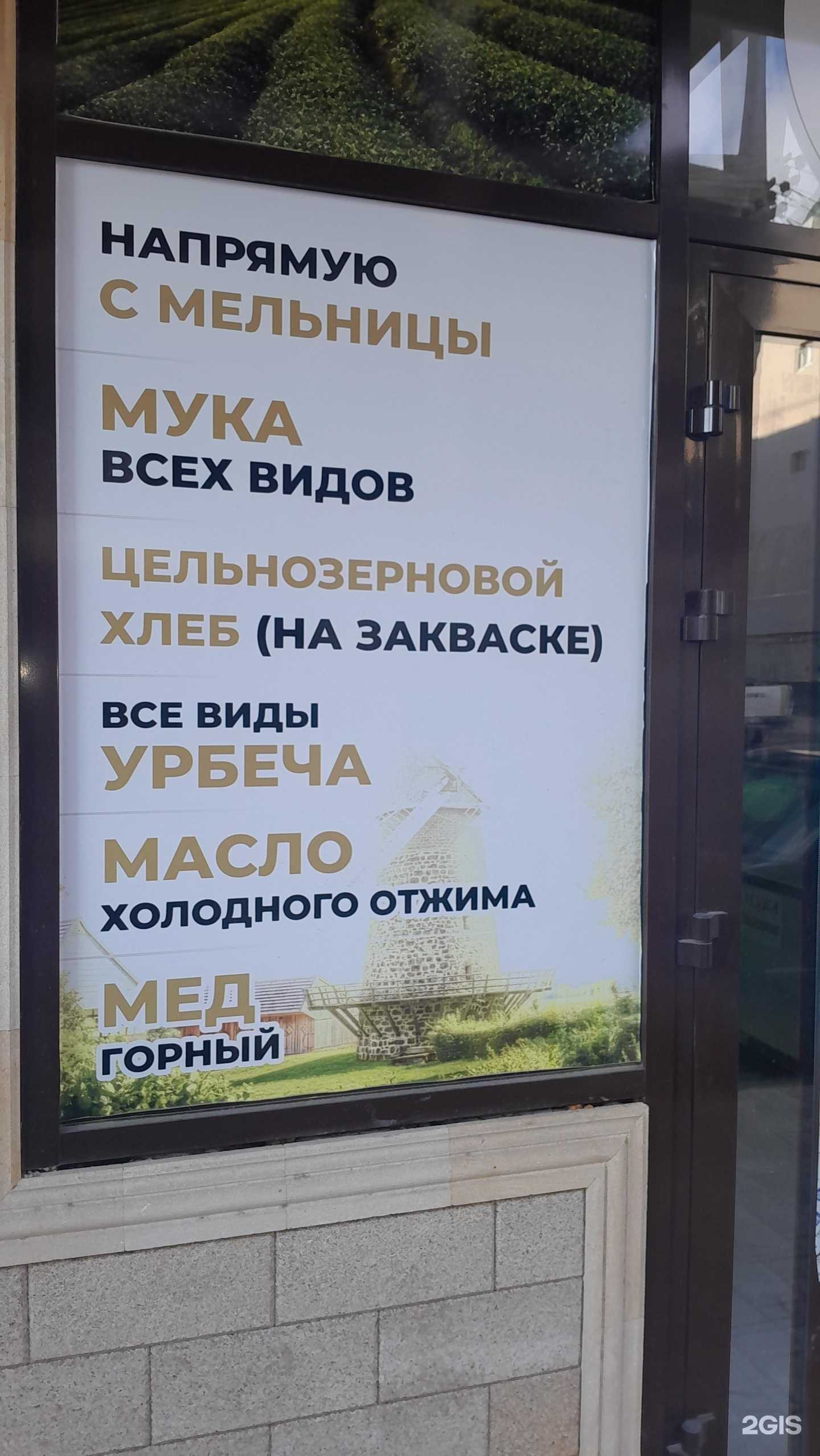 Отзывы на компанию Фисташка  в г. Махачкала c фото