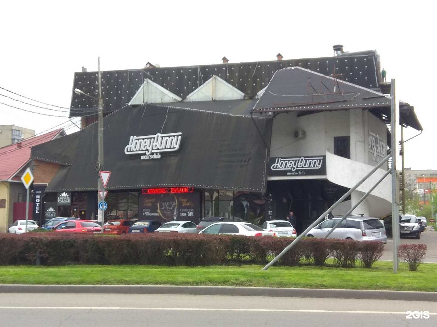Отзывы на компанию Honey Bunny в Краснодаре c фото - фотография 2 из 2