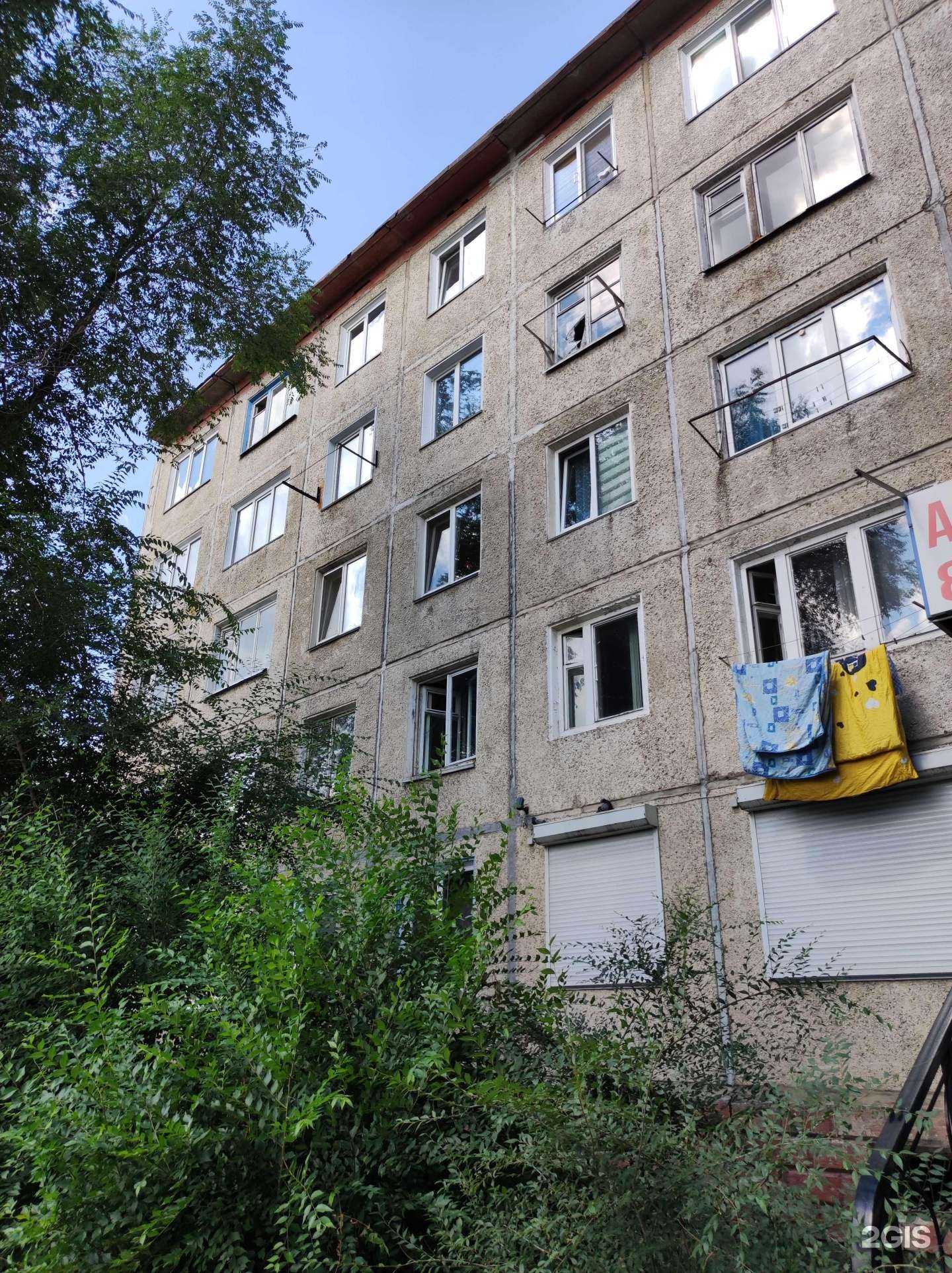 Отзывы на компанию Доктор vet в Саяногорске c фото - фотография 2 из 2