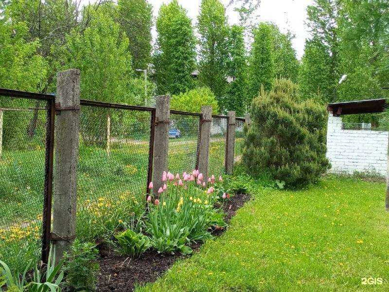 Отзывы на компанию Детский сад №170 в Ярославле c фото