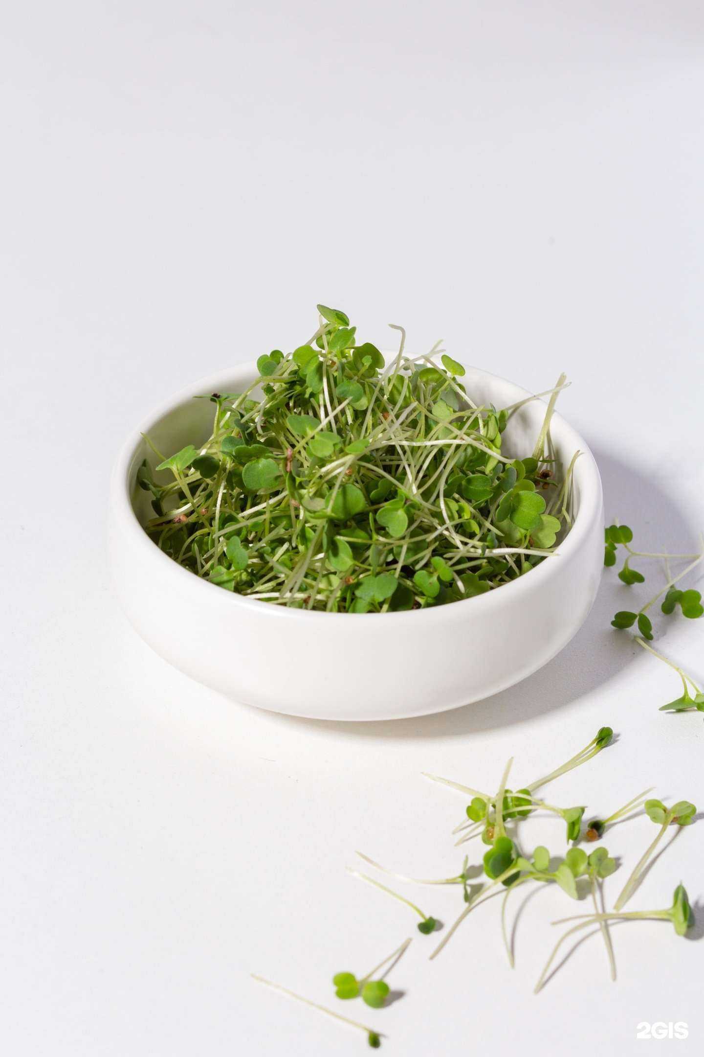 Отзывы на компанию Microgreen kms в Комсомольске-на-Амуре c фото