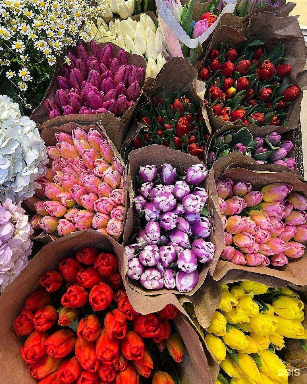 Отзывы на компанию Мир цветов в г. Химки c фото