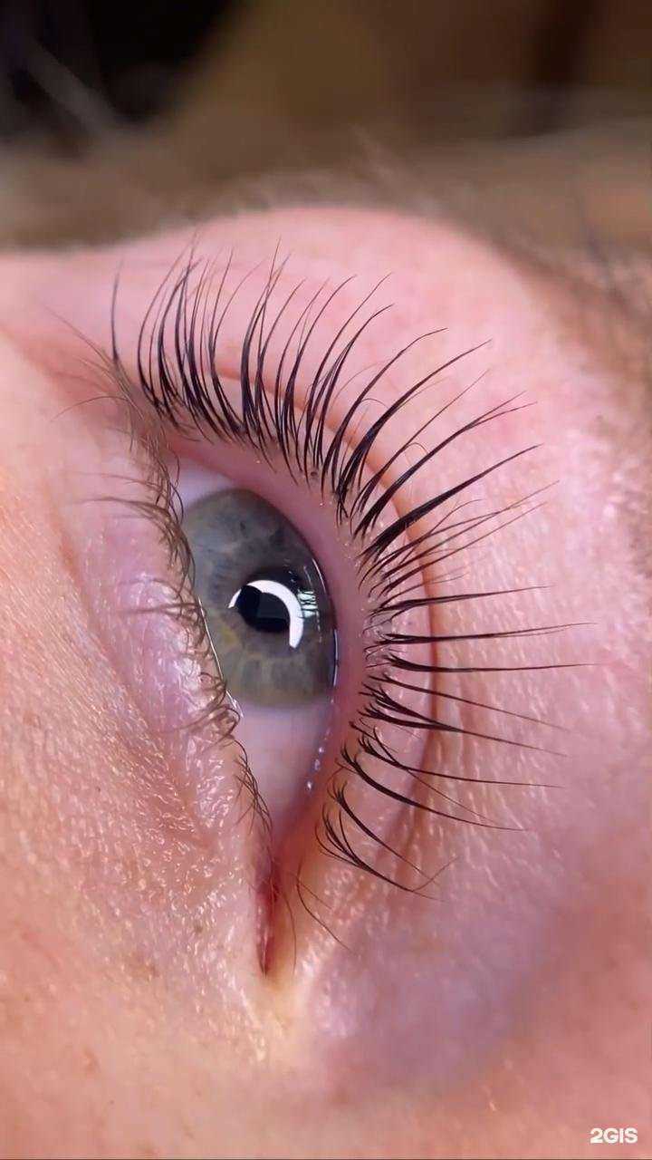 Отзывы на компанию Pro lashes в г. Курган c фото
