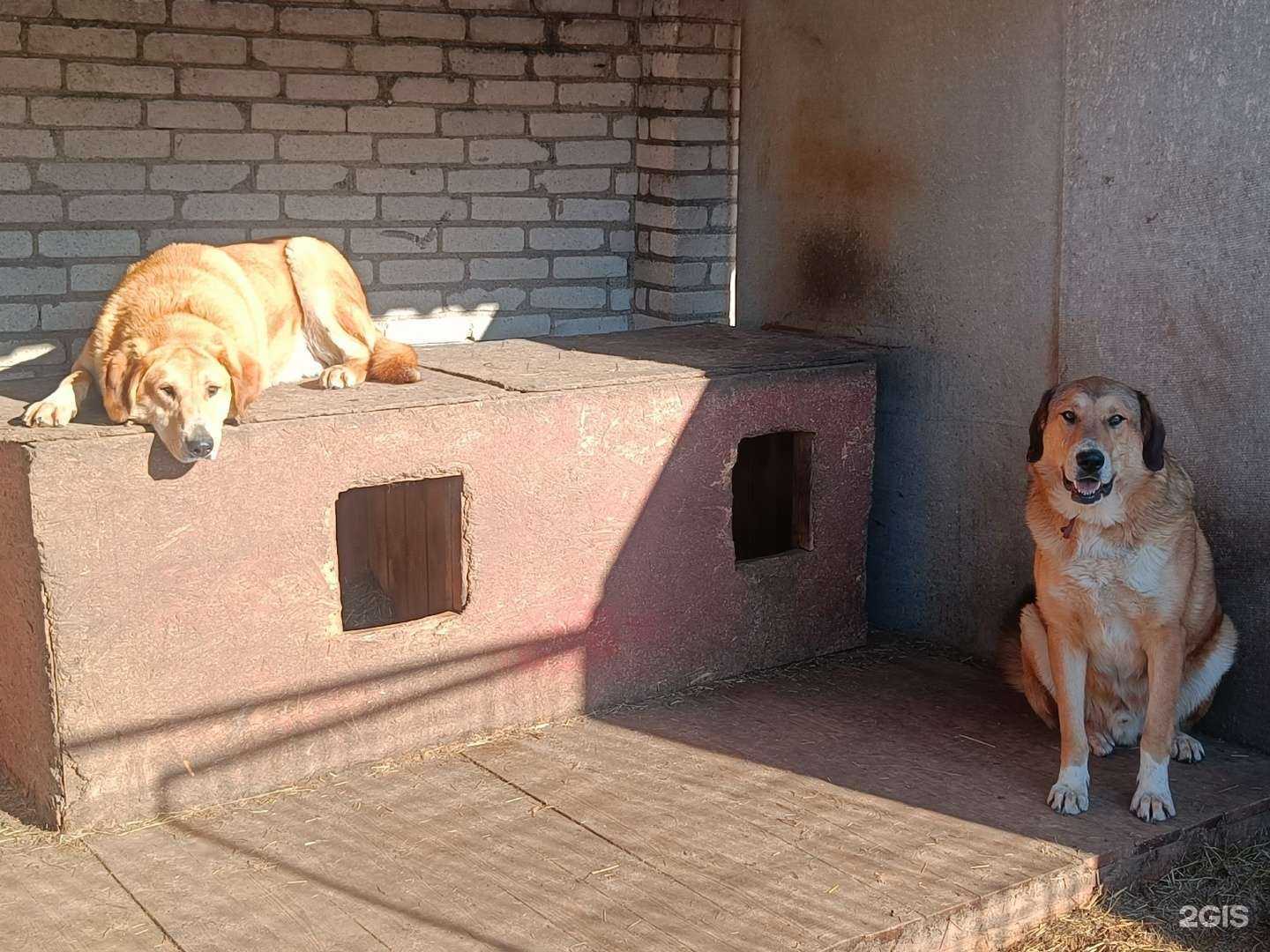 Отзывы на компанию Шанс в г. Псков c фото