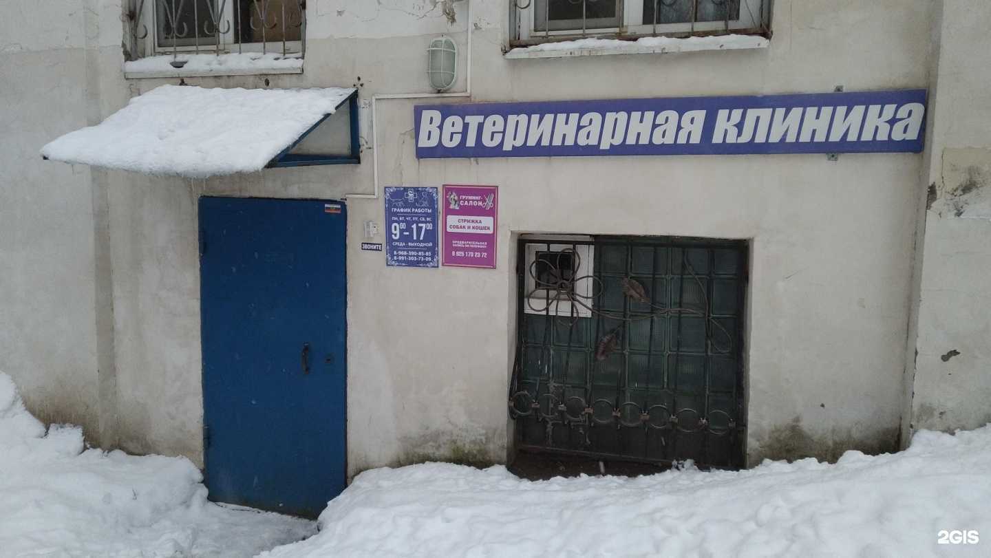 Отзывы на компанию Ветеринарная клиника в Куровском c фото