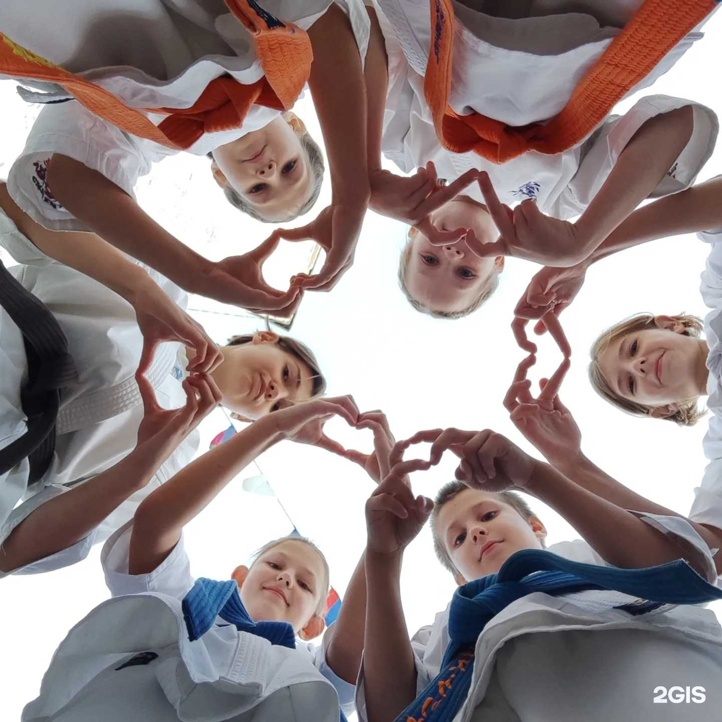 Отзывы на компанию Син-Ги-Тай в г. Новороссийск c фото