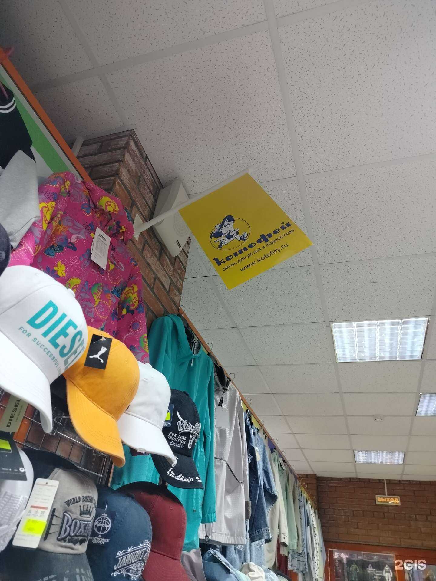 Отзывы на компанию Котофей в г. Лобня c фото