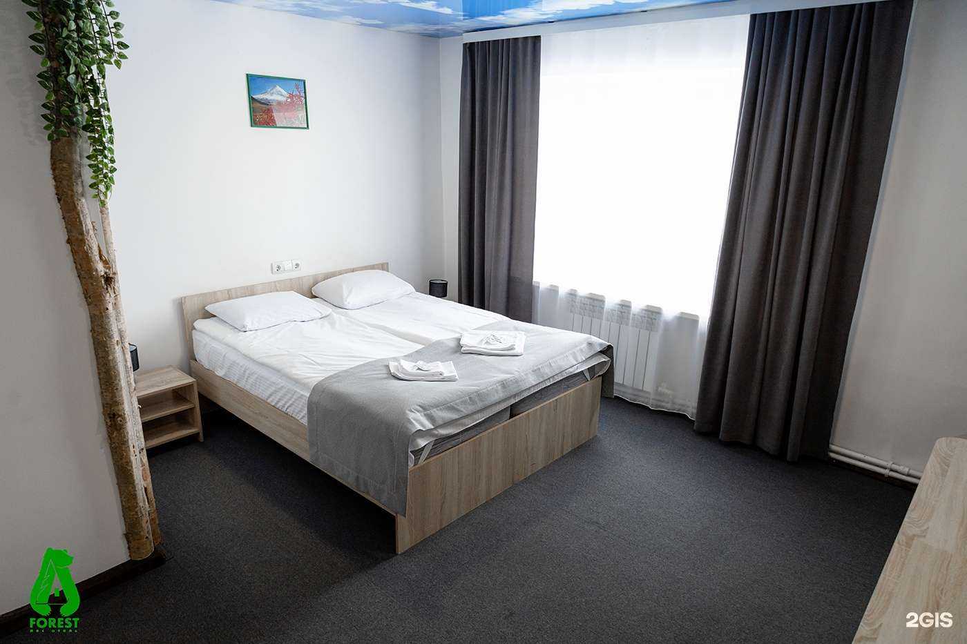 Отзывы на компанию Forest в Елизове c фото