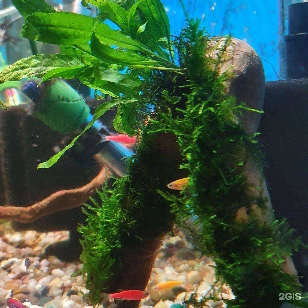 Отзывы на компанию Копилка природы в Ейске c фото